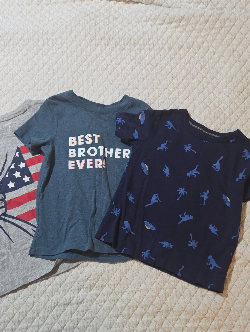 Boys 3T Shirts, Carters, Falls Creek, & Cat And Jack